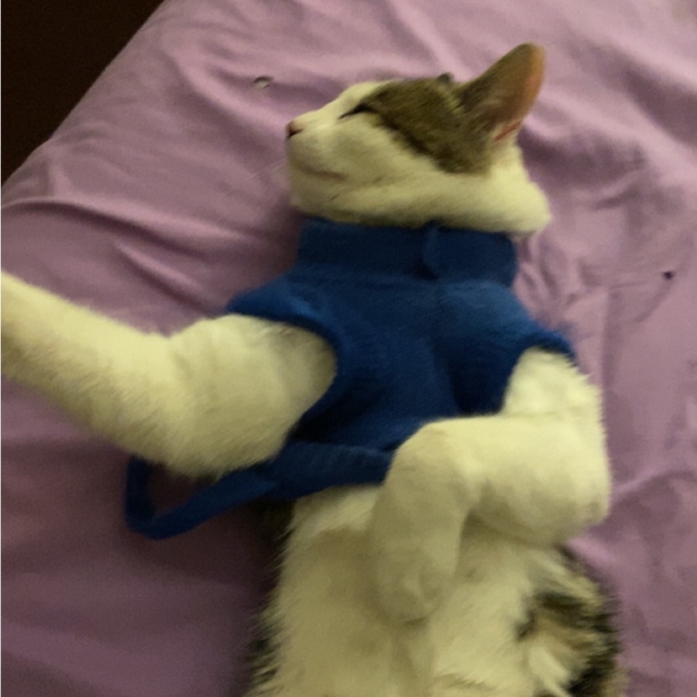 Meet your Posher, Riley